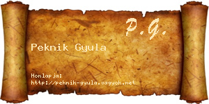 Peknik Gyula névjegykártya